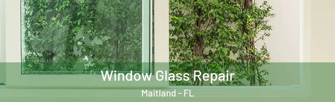  Window Glass Repair Maitland - FL